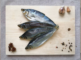 Угай вяленый: Пелядь вяленая